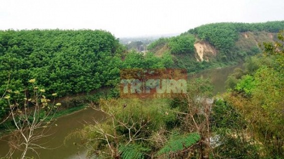 Rampant rubber cultivation goes unchecked in Gomati District : ‘green poison’ rubber wiped off natural forest, Tripura Forest Minister Naresh Jamatia's family owns multiple rubber gardens Rampant rubber cultivation goes unchecked in Gomati District : ‘green poison’ rubber wiped off natural forest, Tripura Forest Minister Naresh Jamatia's family owns multiple rubber gardens